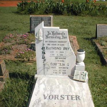 VORSTER Raymond Dry 1922-1981 &amp; Cornelia G. VAN DER HOVEN 1921-1999