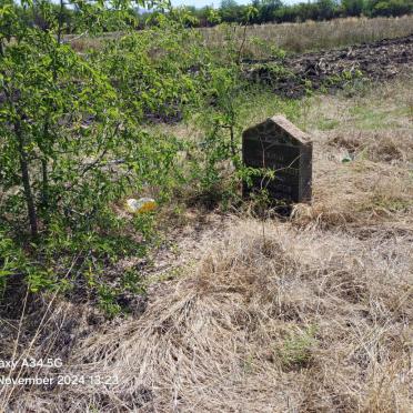 Gauteng, PRETORIA, Onderstepoort, De Onderstepoort 300_1, Ptn. 17, Single grave