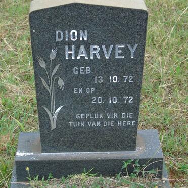 HARVEY Dion 1972-1972