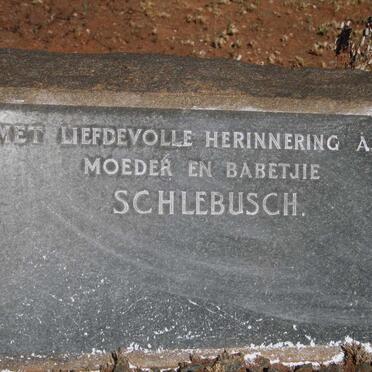 SCHLEBUSCH 