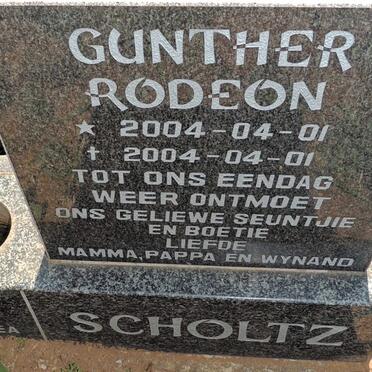 SCHOLTZ Gunter Rodeon 2004-2004