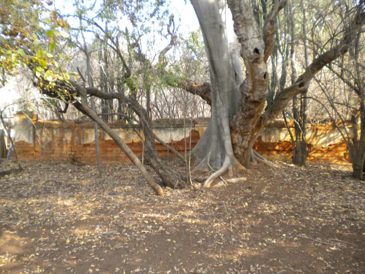 1. Overview / Oorsig