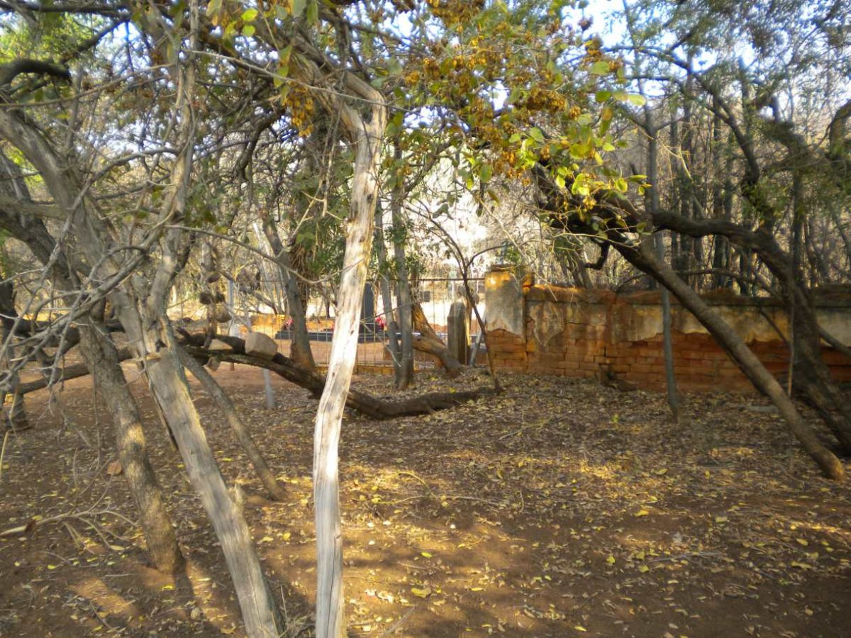 2. Overview / Oorsig