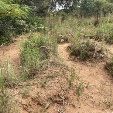 3. Overview / Oorsig