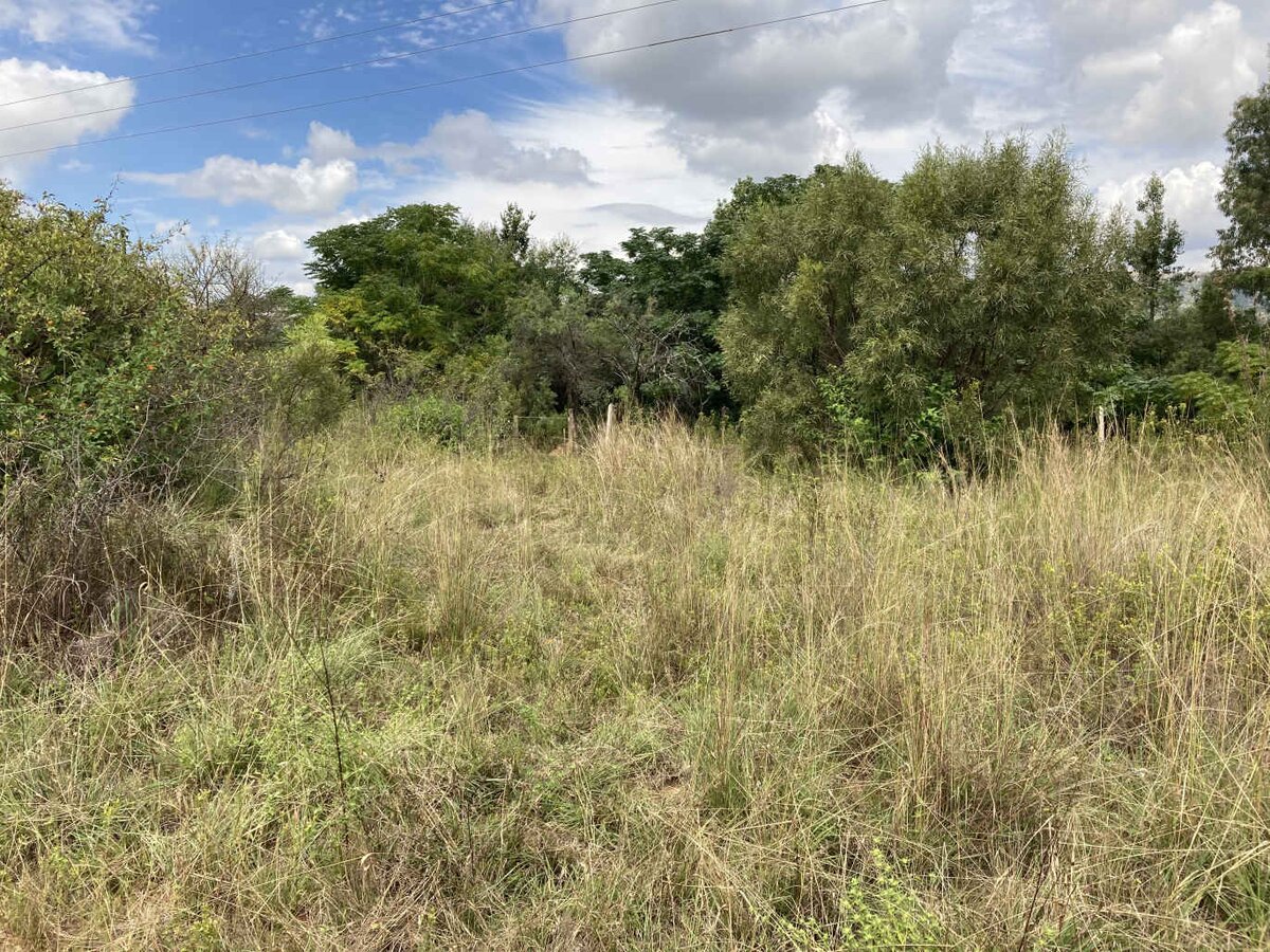 2. Overview / Oorsig