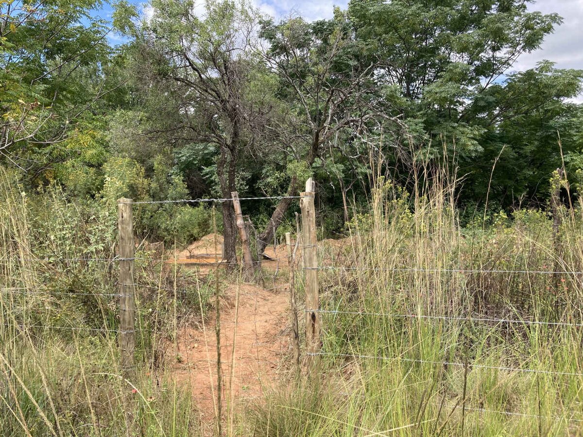 1. Overview / Oorsig