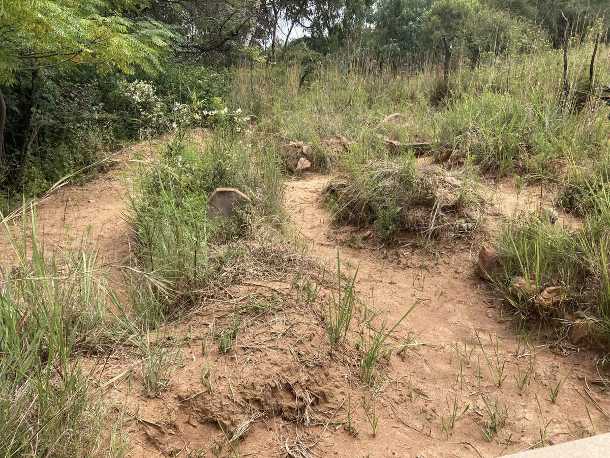 3. Overview / Oorsig