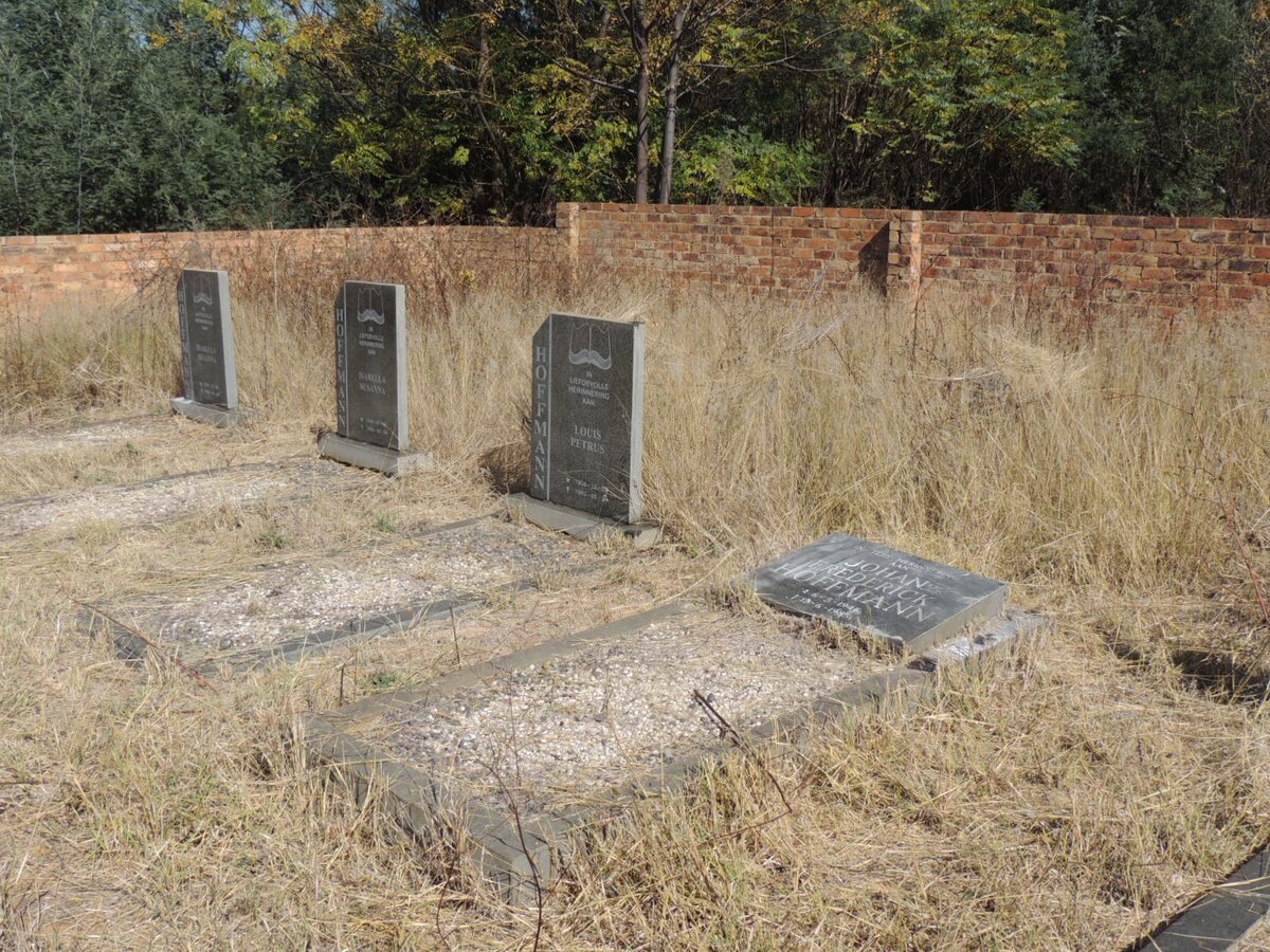 3. Oorsig - HOFFMANN grafte