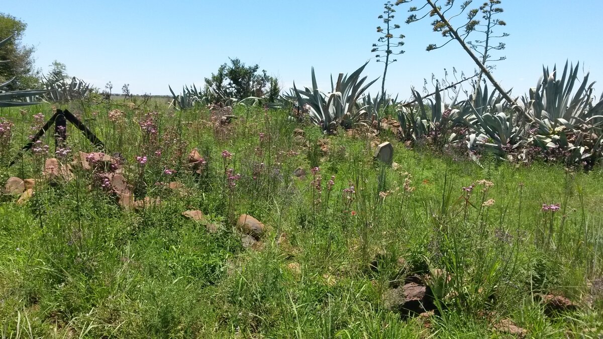 1. Overview / Oorsig