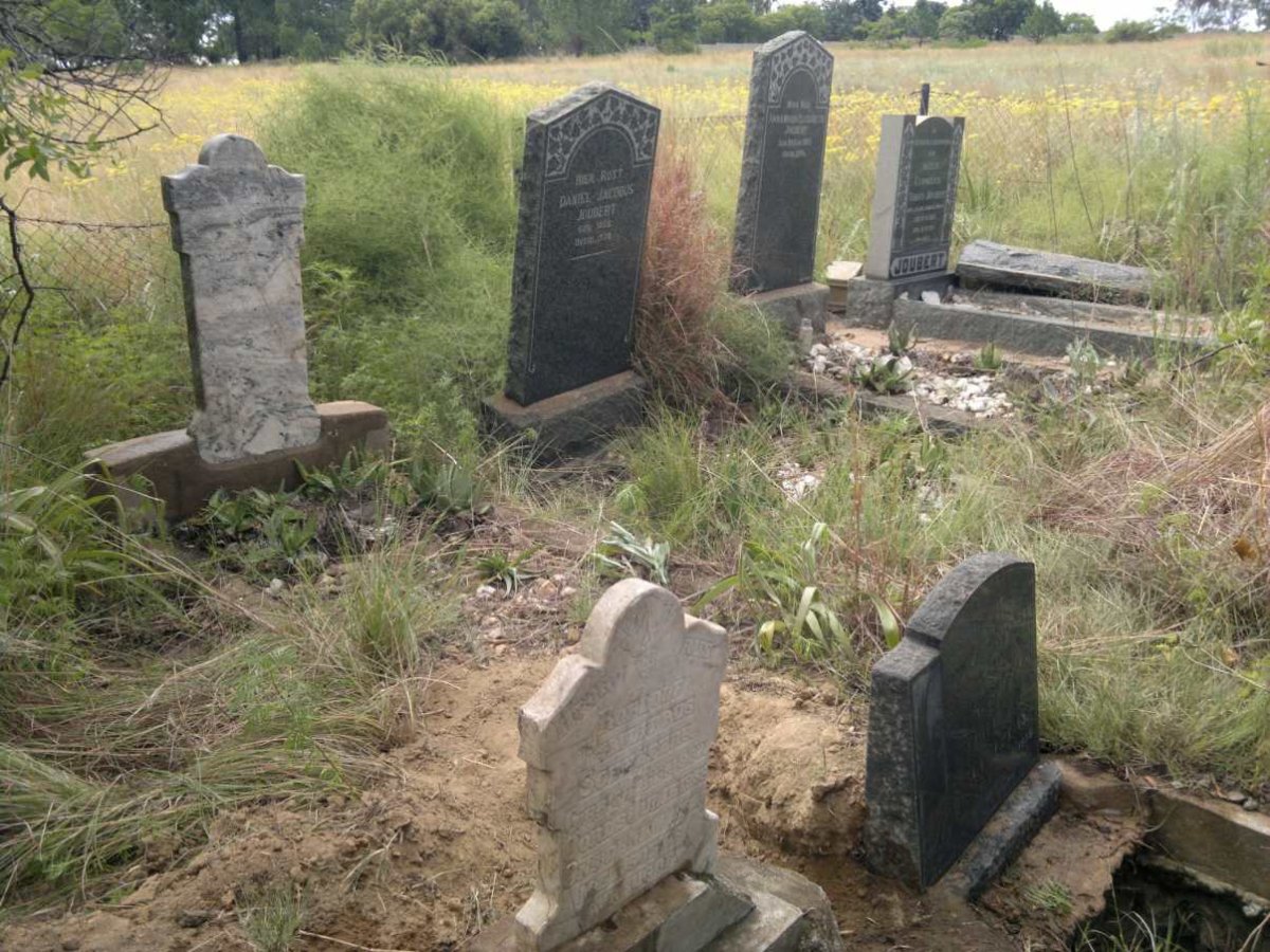 3. Overview / Oorsig