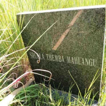 MAHLANGU Srula Themba