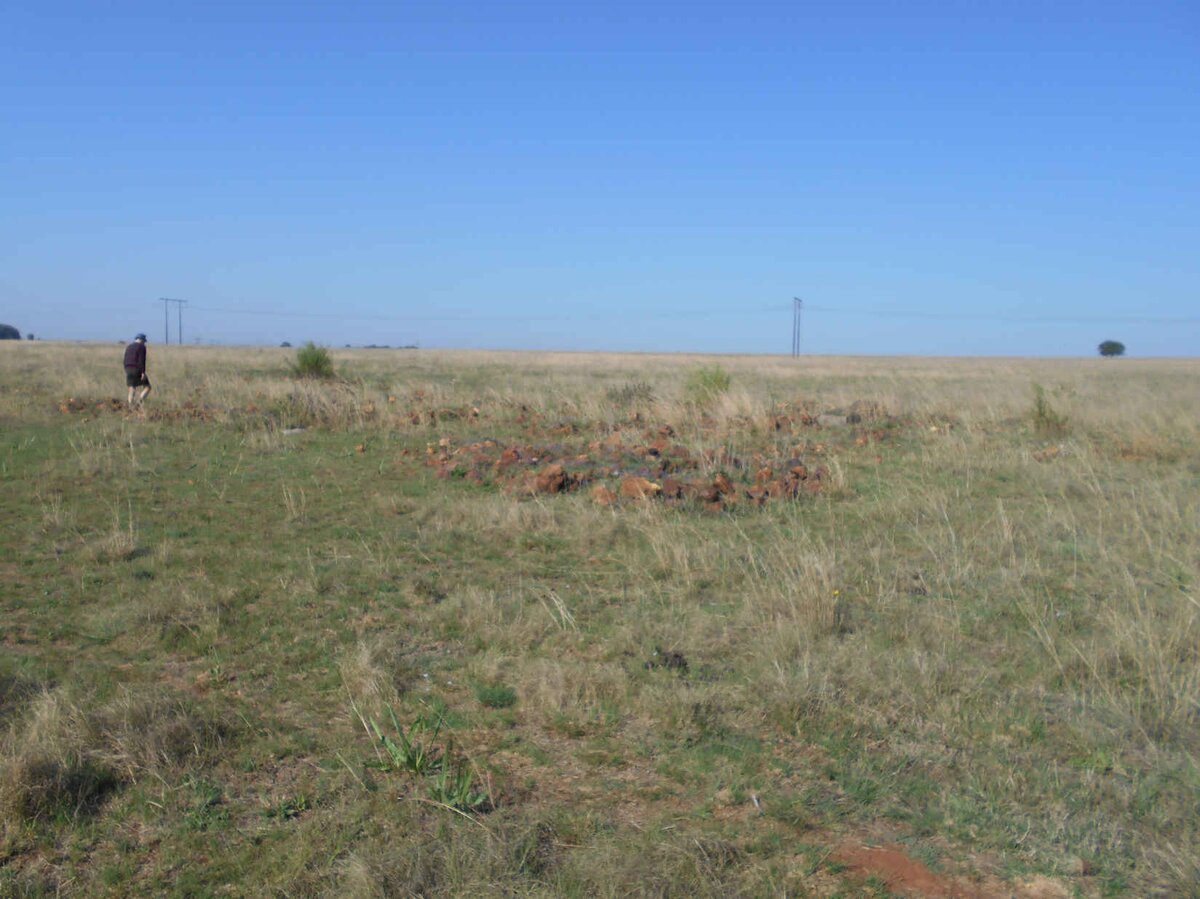 1. Oorsig / Overview Witkoppies Graves