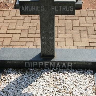 DIPPENAAR Andries Petrus 1937-1991