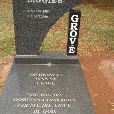 GROVE Liggies 1918-2000