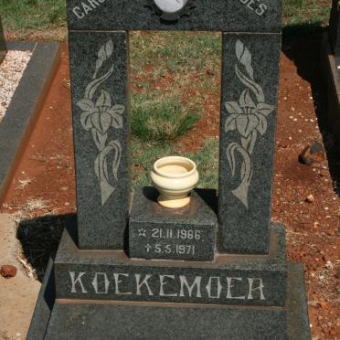 KOEKEMOER Carolinda Koekoes 1966-1971
