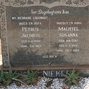 NIEKERK Petrus Jacobus, van 1882-1967 &amp; Machtel Susanna VAN ECK 1894-1984