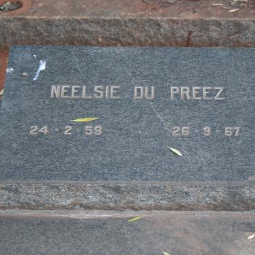 PREEZ Neelsie, du 1958-1967