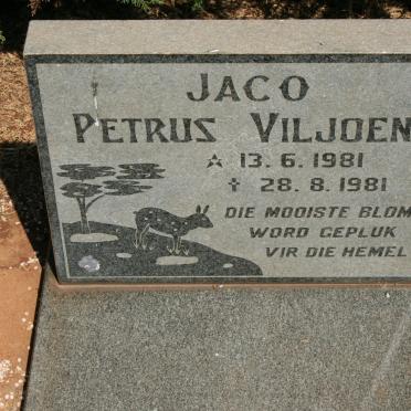 VILJOEN Jaco Petrus 1981-1981