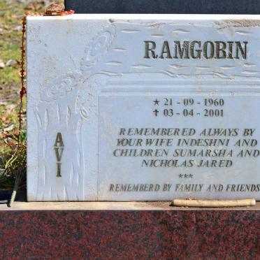 RAMGOBIN Avi 1960-2001