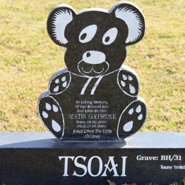 T - Vanne :: Surnames - T