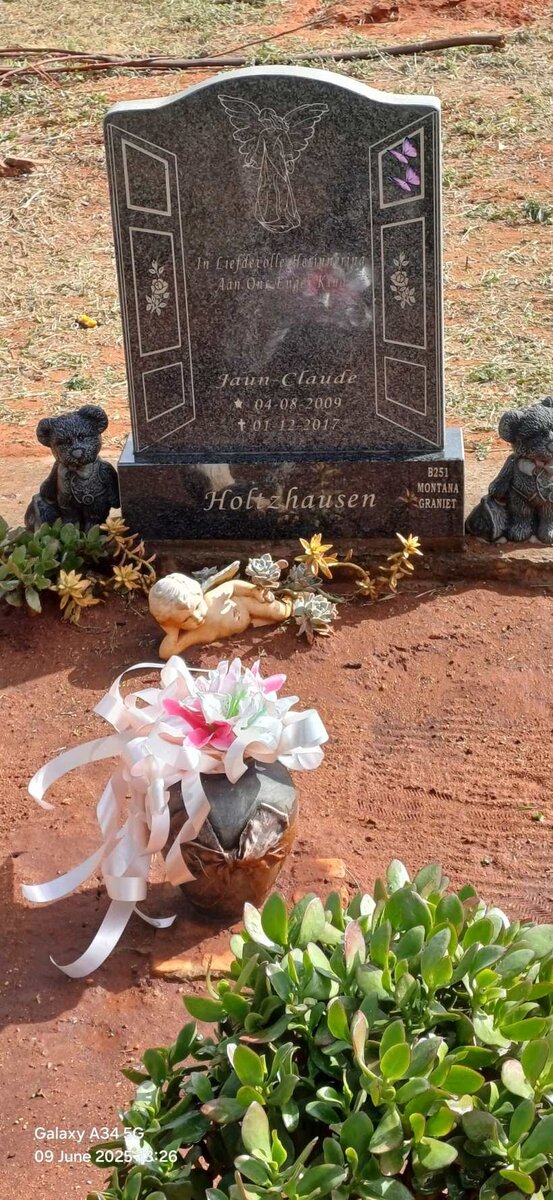 HOLTZHAUSEN Juan Claude 2009-2017