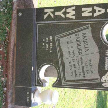 WYK Amalia Carolina, van 1905-1958