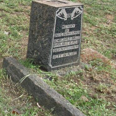 DINGLE Henry James 1928-1929