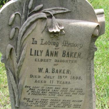 BAKER Lily Ann -1893