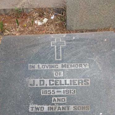 CELLIERS J.D. 1855-1913 :: CELLIERS ? :: CELLIERS ?