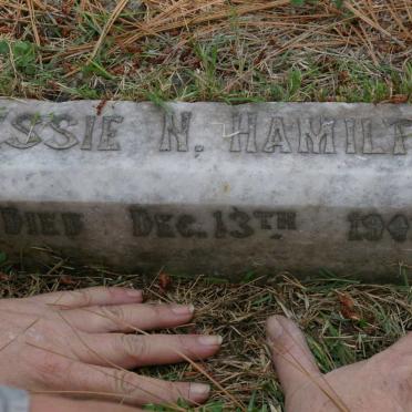 HAMILTON Bessie N. -1902