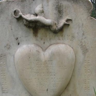 MARE Elsie 1887-1888