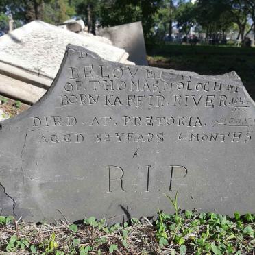 MOLOGHNI ? 1844-1896