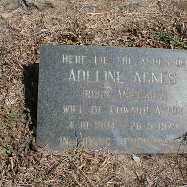 MEINTJES Adeline Agnes nee ANKIEWICZ 1904-1979