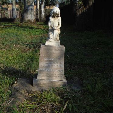 PLOOY Pieter, du 1912-1918