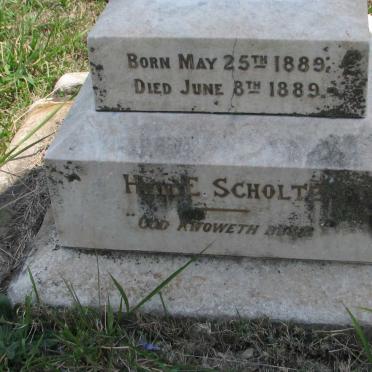 SCHOLTZ ? 1889-1889