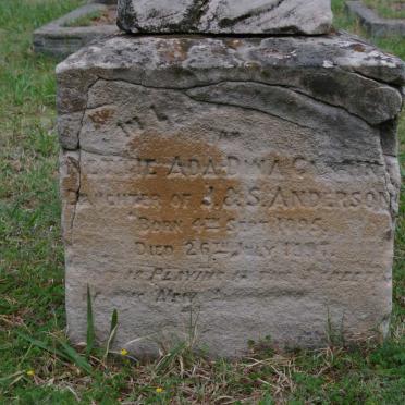 ANDERSON Nettie Ada Dina G? 1895-1???