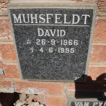 MUHSFELDT David 1966-1995