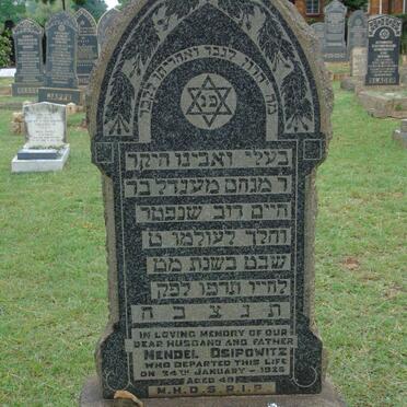 O-Surnames _ Vanne-O