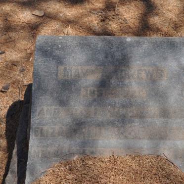 ANDREWS May 1891-1921 :: STEYN Elizabeth nee ANDREWS