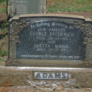 ADAMS :: MCCLELLAND :: VOIGT _2