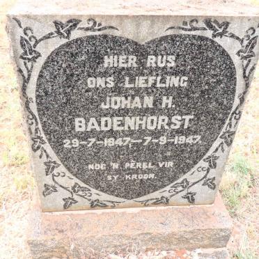 BADENHORST Johan H. 1947-1947