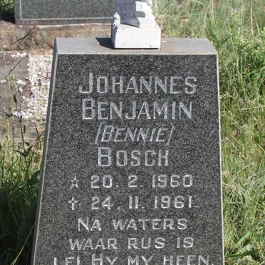 BOSCH Johannes Benjamin 1960-1961