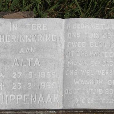 DIPPENAAR Alta 1959-1965