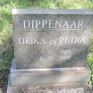 DIPPENAAR Drika 1965-1965 :: DIPPENAAR Petra 1965-1965