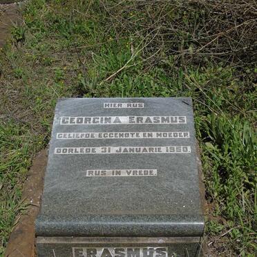 ERASMUS Georgina -1950