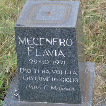 FLAVIA Mecenero -1971