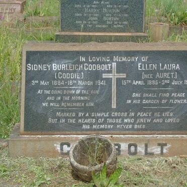 Go - Surnames starting with the letters Go