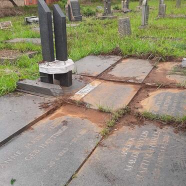 1. Overview / Oorsig HATTINGH grafte