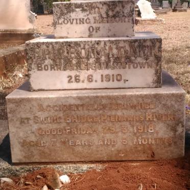 IVY Eric Ronald 1910-1918