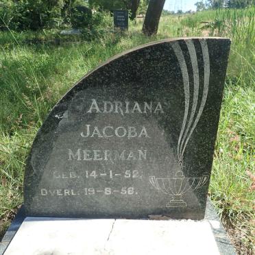MEERMAN Adriana Jacoba 1952-1956